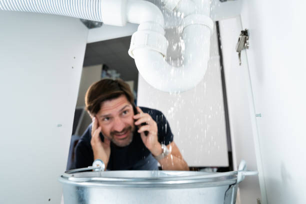 Best Water Leak Repair  in Kodi Station, AK